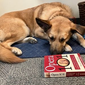 Meet your Posher, Jill